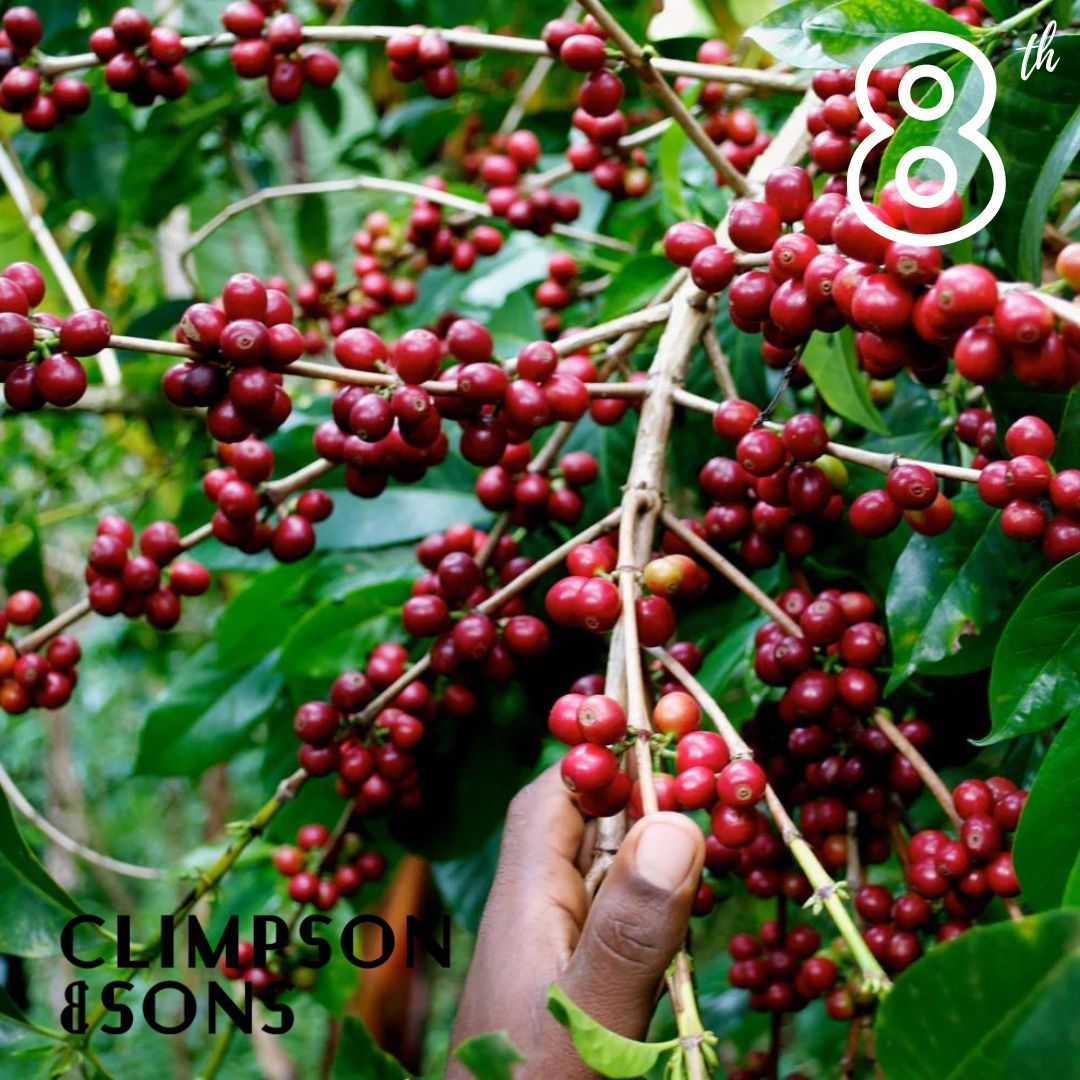 Coffee Advent tweet media