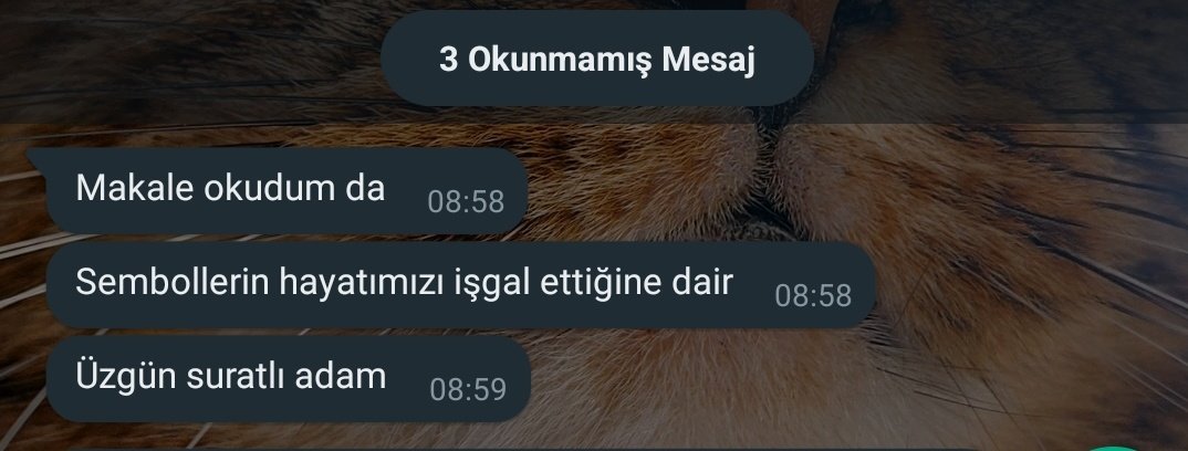 ZeneepS's tweet photo. Tiktok'tan öğrendiğini bilmiyormuş gibi mi yapmalıyım? https://t.co/rzH8KUgy0Q