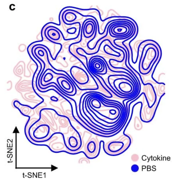 lpachter's tweet photo. This is an interesting new paper on the effects of cytokines on different immune cell types. I expect this will be of value to many (including our group). However, I'm disappointed to see (again) reliance on UMAPs and t-SNEs (both used in this paper, which is also weird).  1/ https://t.co/s1vcMKJd5I