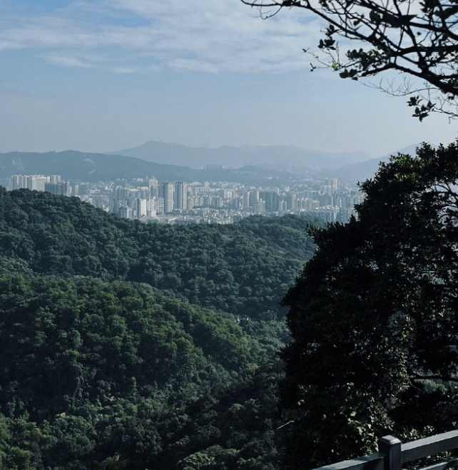 grennalex712's tweet photo. Climb to the top ⛰️ https://t.co/Sc0NjCe9Yr