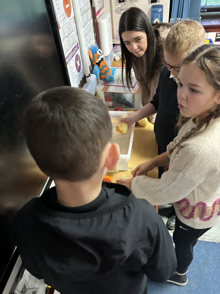 MissStewart24's tweet photo. Thank you to the P7 @YoungSTEMLeader girls who led our class in groups through a STEM experiment about βfloating and sinkingβ. All pupils were engaged and high quality conversations were being had. Well done π #DunipaceSTEM https://t.co/kmc8hysC7E