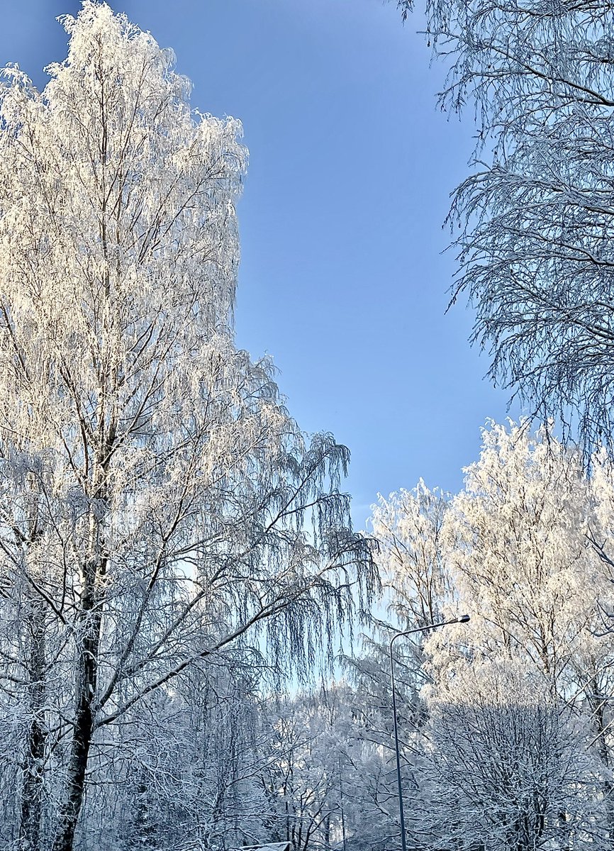 Good Morning ♥️♥️♥️