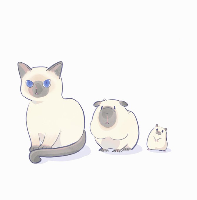 オソロ 