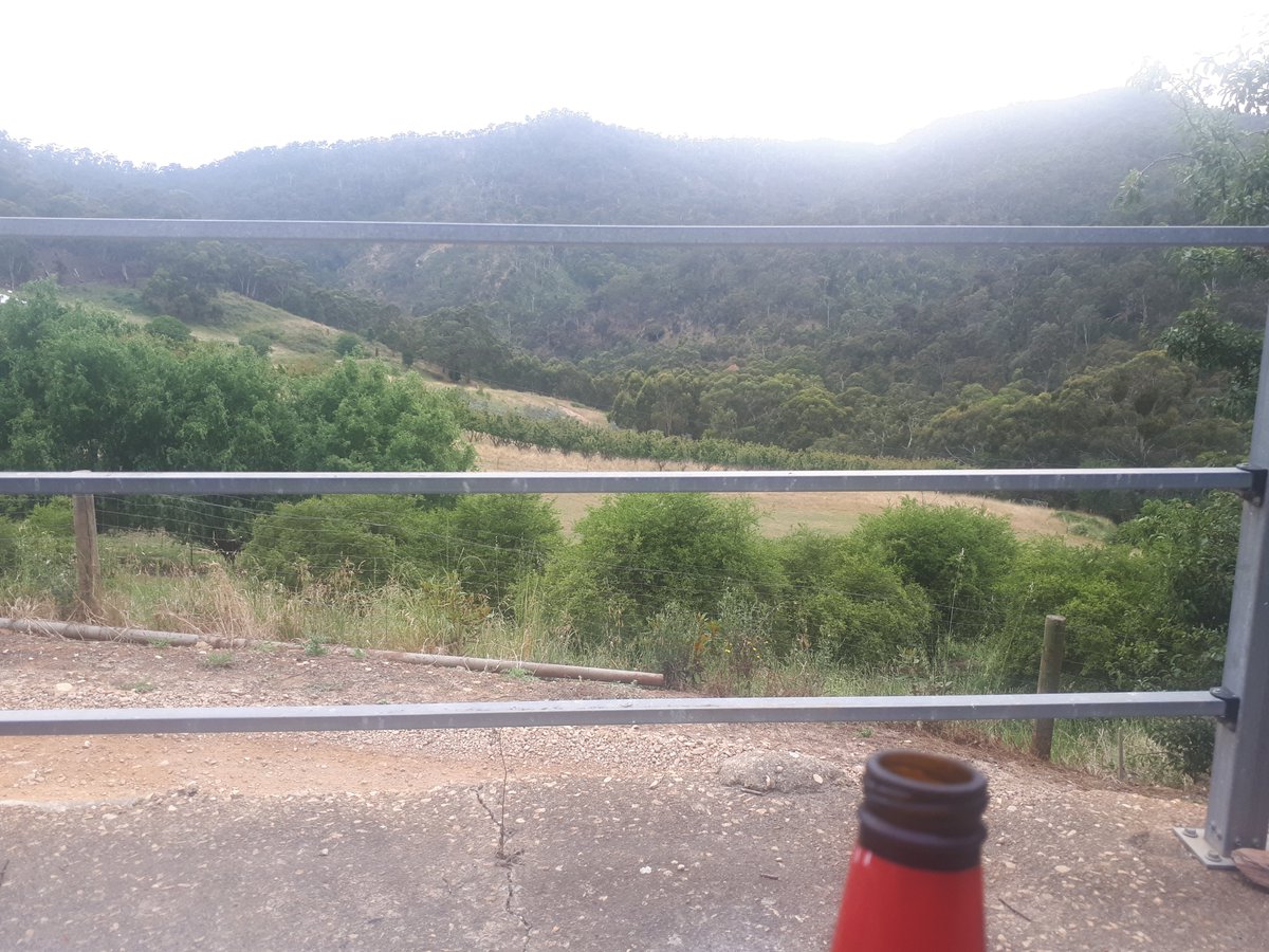 Andrew Faulkner tweet media