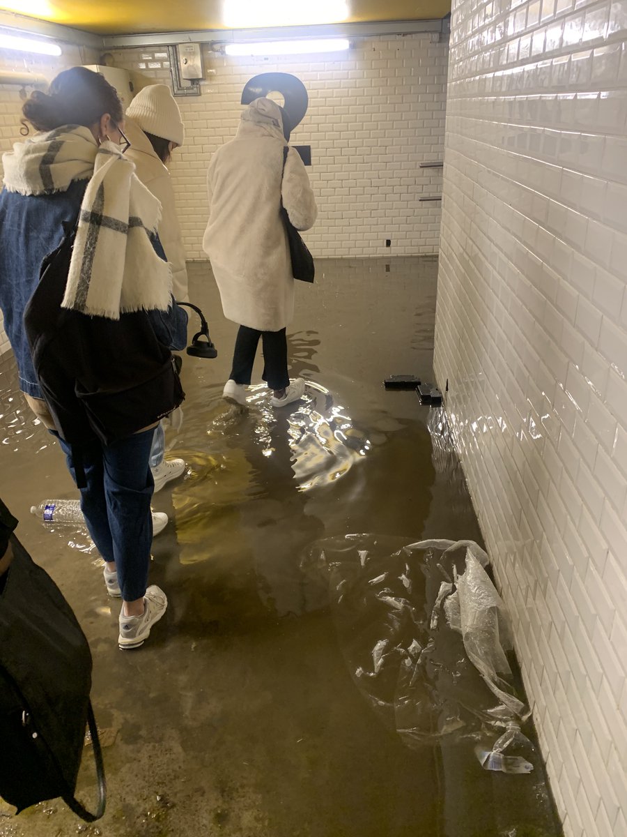 AlmightyZou's tweet image. APANYAN