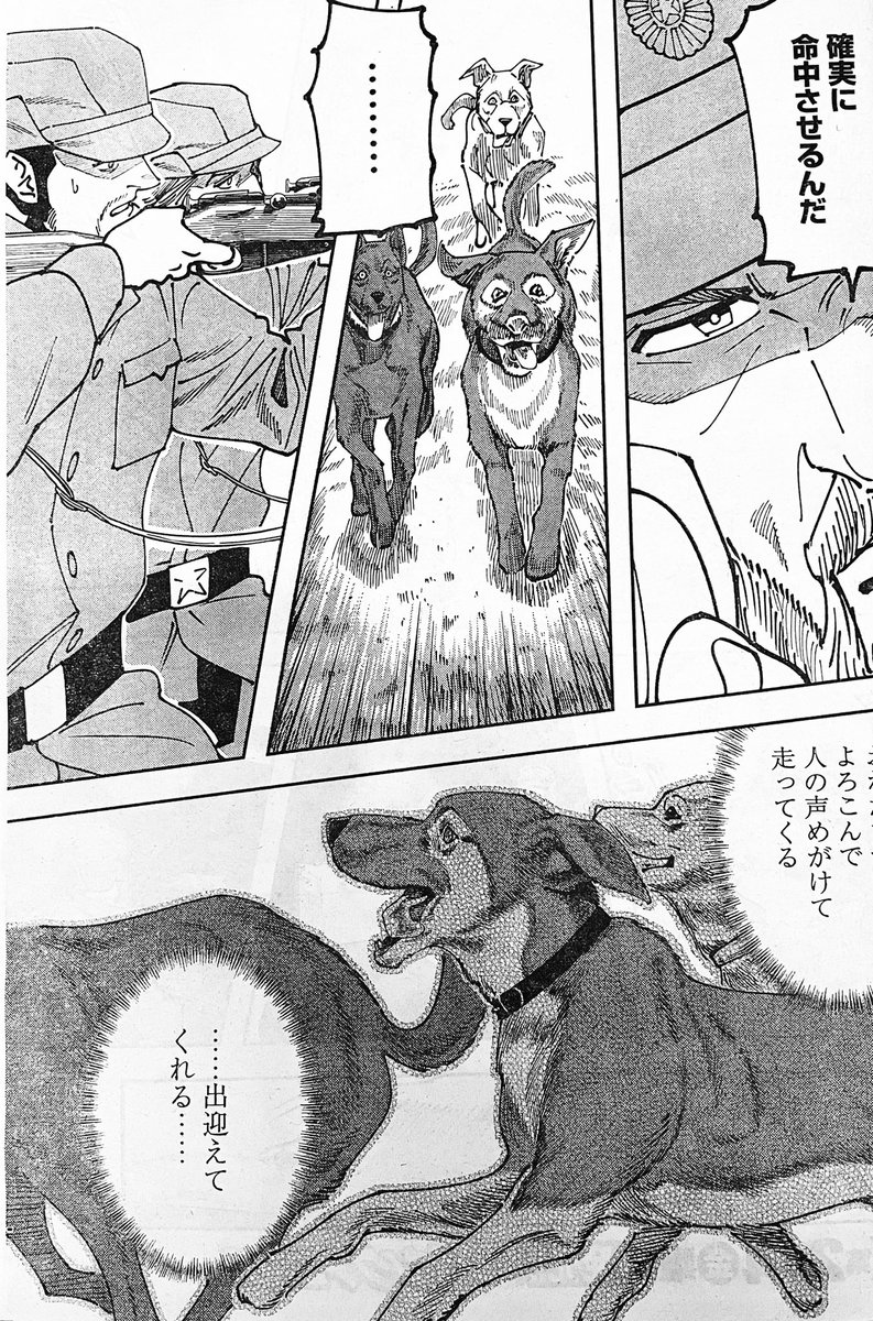 本日発売の「ヤングアニマル」にて 「チェルノブイリの祈り」第7話掲載中! 動物を殺処分を命じられた、猟師のお話し。 基本的に読み切りものですが、モブの中に前の他エピソードの人物が出ていたりします(自己満‼︎) 只今、6話が無料公開中、是非お読み下さい↓