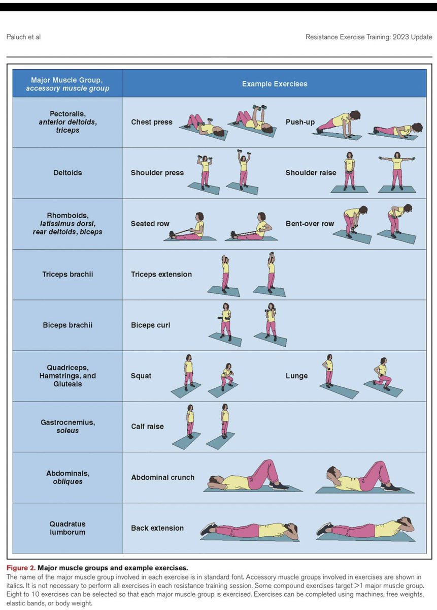 Walking, running isn’t enough. 

Resistance exercises (e.g. push ups, elastic bands, squats, weights) even a few times a week can improve cardiovascular health, reduce death risk.

Best part is they can be done at home, only a few minutes are required, and no need to overdo.

1/2