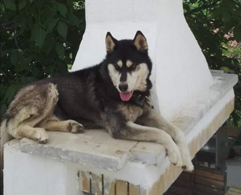 Palli1Eleni's tweet photo. Εδώ κ σήμερα περιμένοντας την δικαίωσή του.#ΑΡΑΧΩΒΑ https://t.co/NIt7I02qbZ