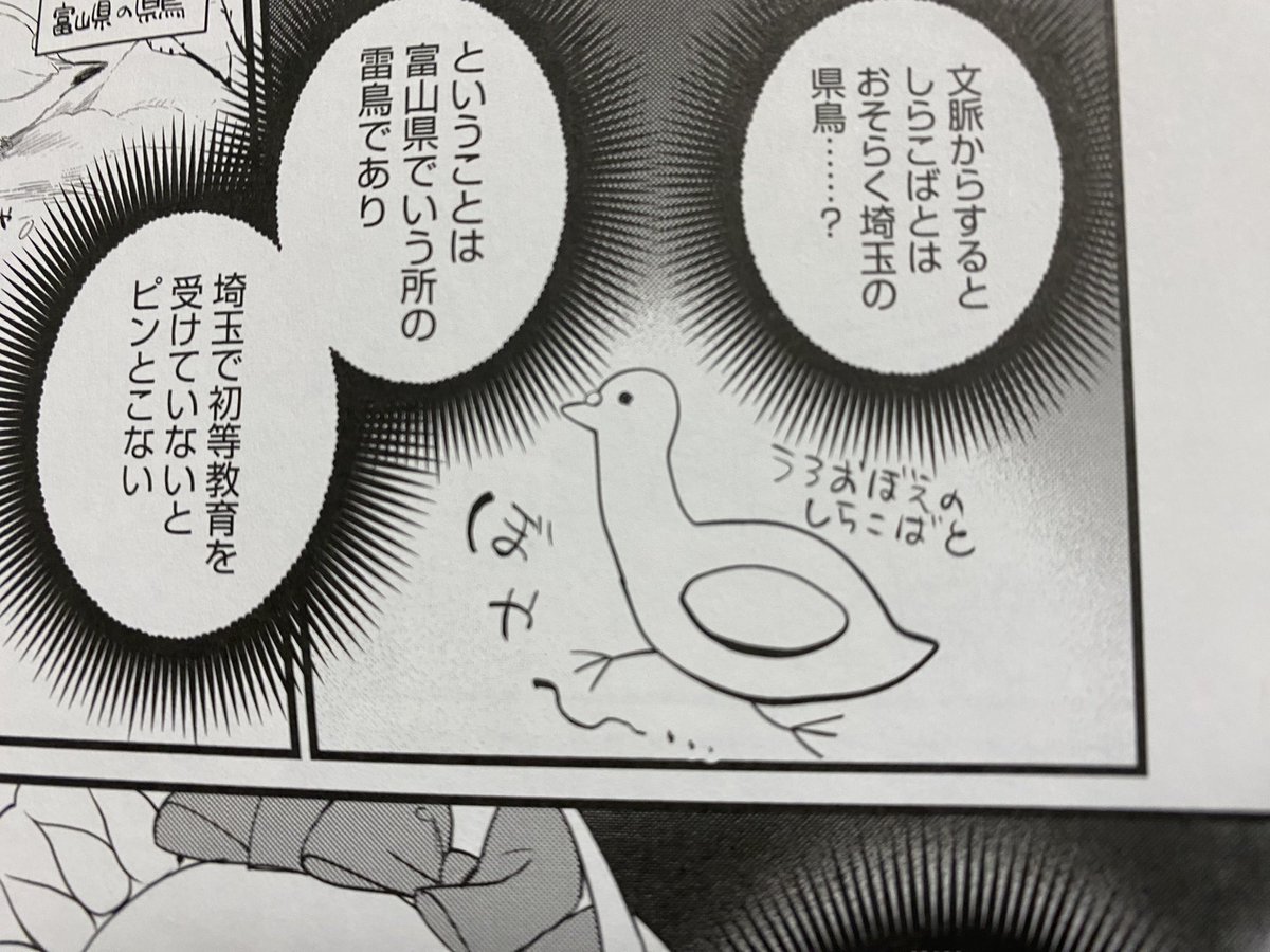 本日発売の翔んで埼玉アンソロに寄稿させていただいております。メンバーが豪華すぎてなんでここにいるんだろうという感じです。所沢をリアルに描いております。雷鳥もいるよ(?)