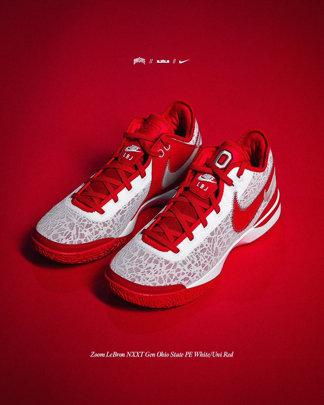 Lbj shoes shop 219