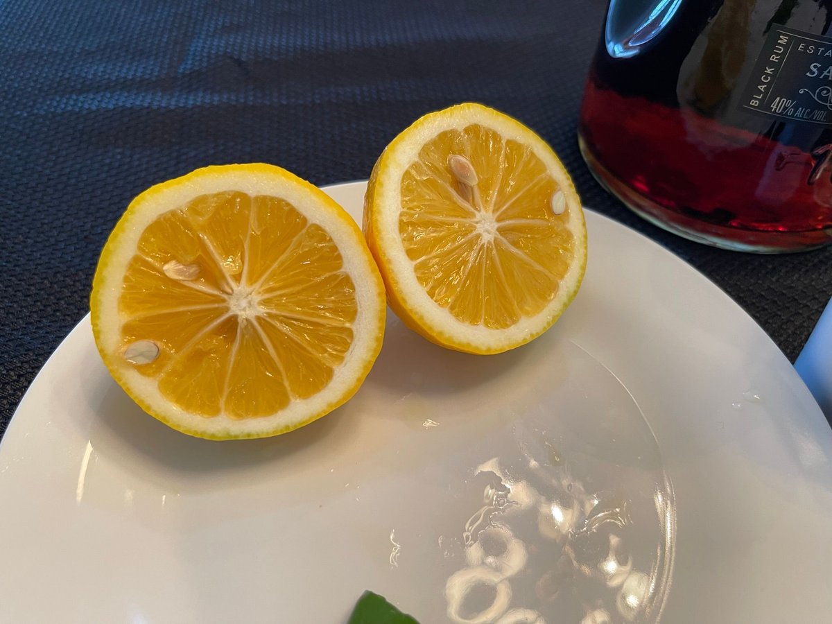 How to Make a Meyer Lemon Dark and Stormy buff.ly/3GQHq8u #travel #food #wine #mixology #golf #UndercoverJetsetter #JohnDaly #SusanAnzalone #TravelLikeALocal #shotOniPhone #offbeatenpath #wingdingTV #Vacation #stayathome #Recipes #MeyerLemon #DarkandStormy