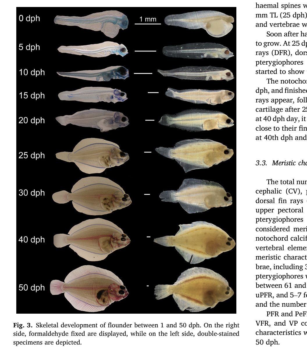 Doç. Dr. ilhan AYDIN tweet media