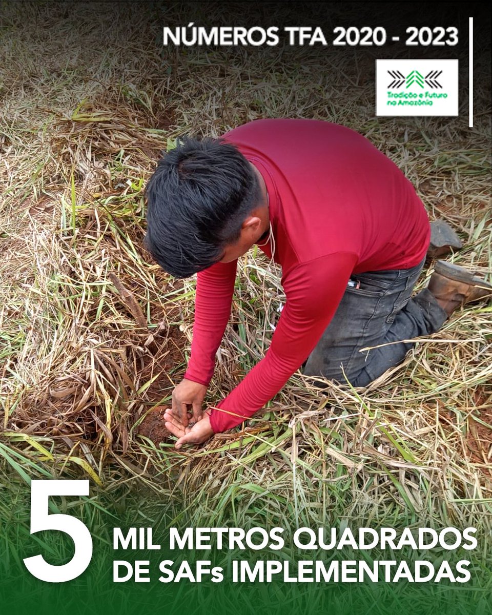 Tradição e Futuro na Amazônia tweet media