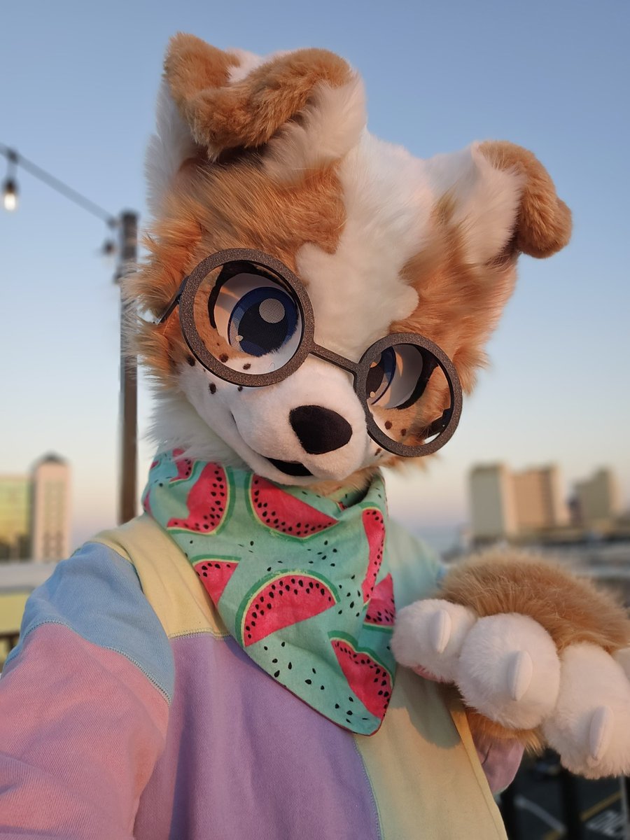 caffebark's tweet image. Do I look cute in these glasses? 🥺❤️

#FursuitFriday