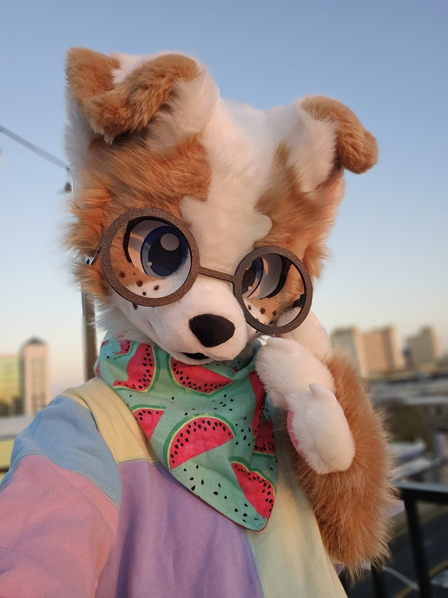 caffebark's tweet image. Do I look cute in these glasses? 🥺❤️

#FursuitFriday