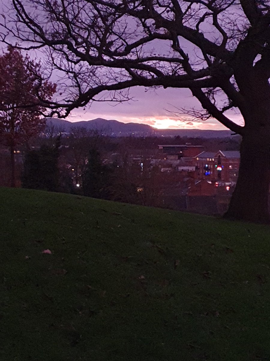 Lynn Denham 🌹 tweet media