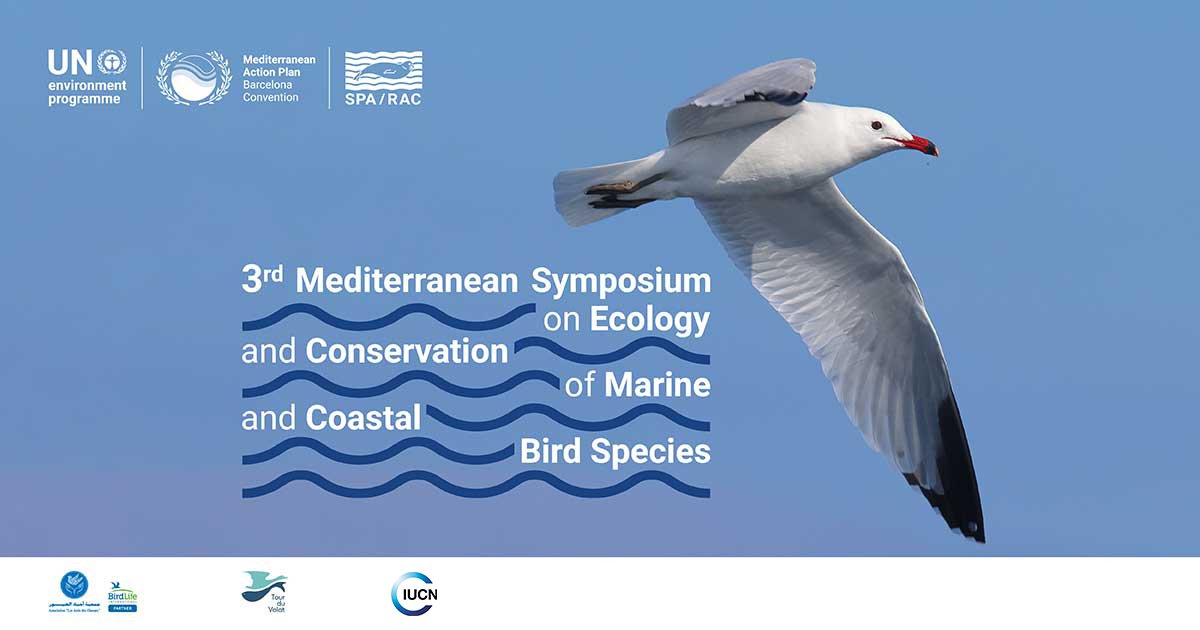 Rejoignez-nous au 3ème Symposium méditerranéen sur l'écologie et la conservation des espèces d'#oiseaux marins et côtiers, prévu à Djerba, en Tunisie, du 13 au 15 février 2024 🌊Pour vous inscrire et soumettre votre résumé :
act4med-marinebirds.org