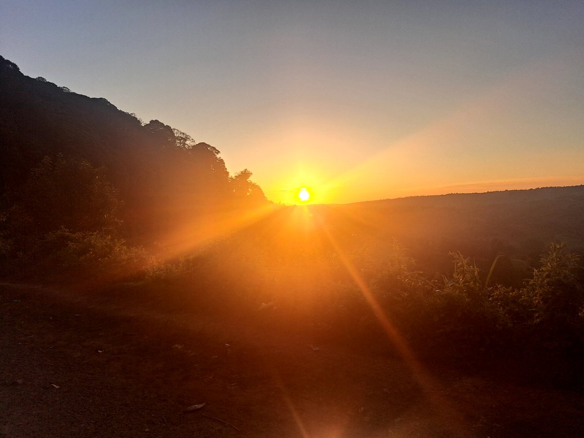 Jerono™🇰🇪 tweet media