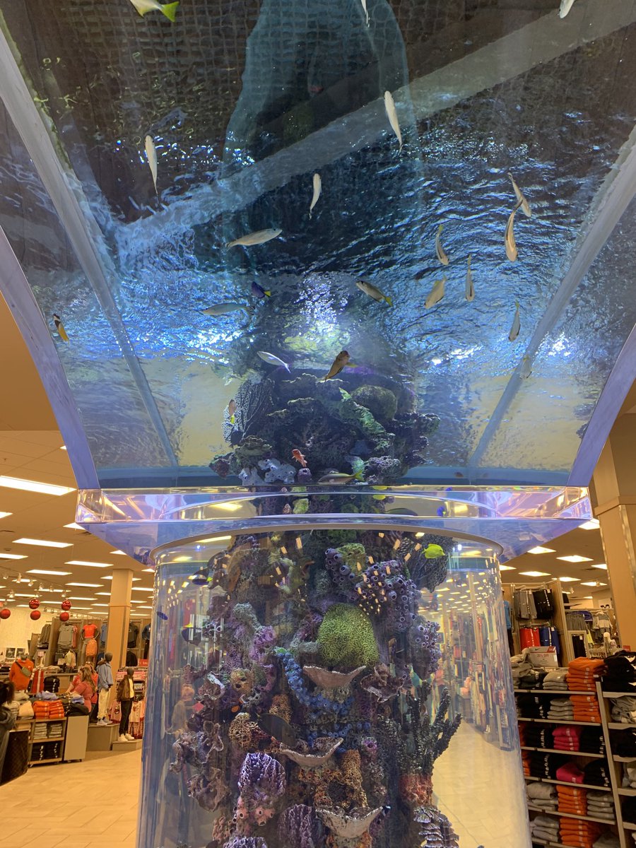 KJVannest's tweet image. What is a sporting goods store really without a massive aquarium? #Dallas