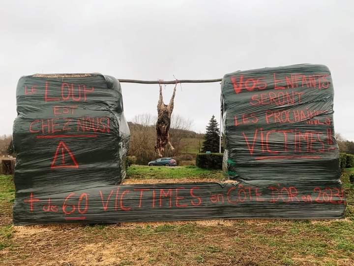 AdeaClaude's tweet photo. C'est pas du loup qu'il faut avoir peur mais bel et bien de tous ces tarés. https://t.co/Hj8AfBzzJh