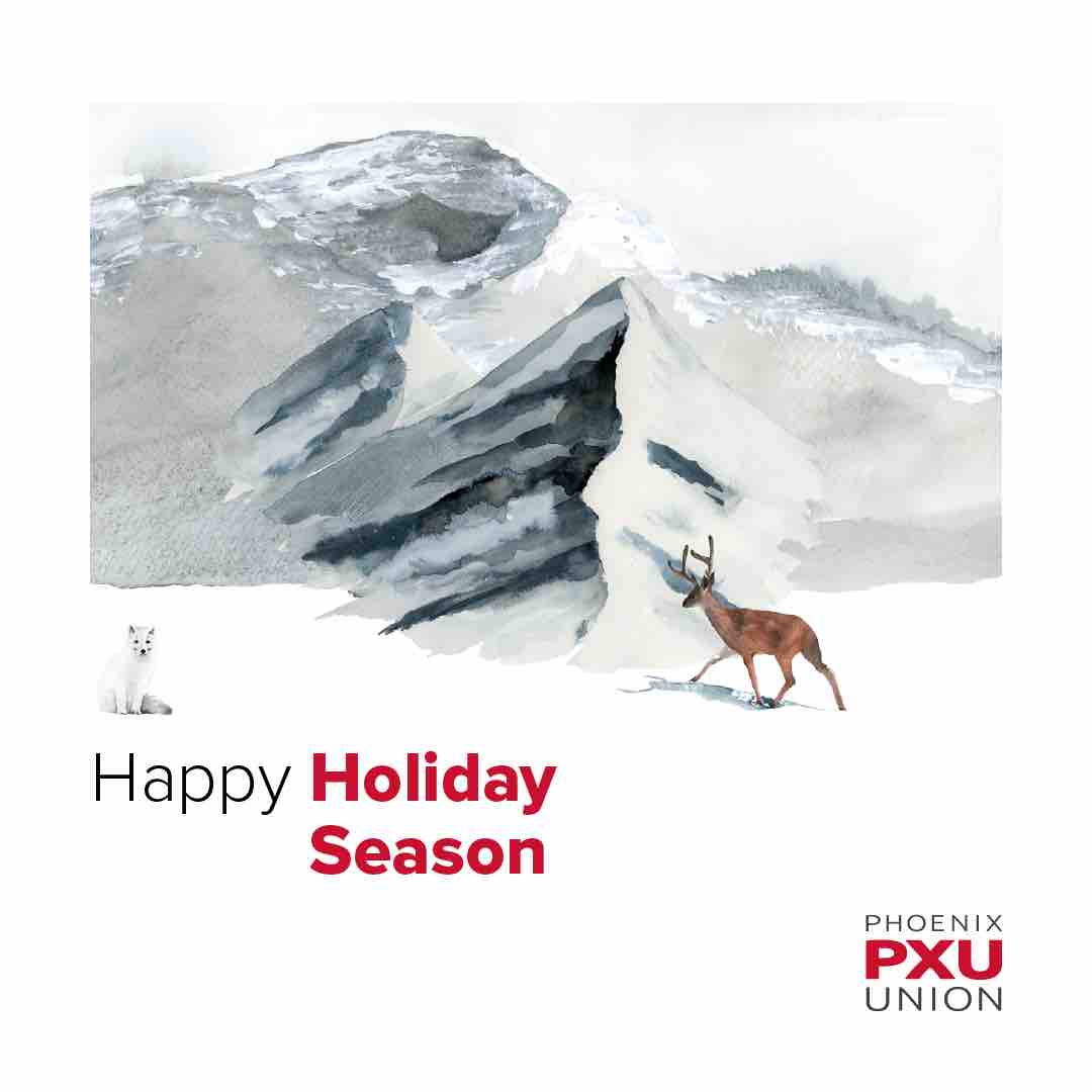 PXU would like to wish everyone a Happy Holiday Season ❄️ No matter where you are or what holidays you celebrate, we hope that you stay safe and have a great celebration 🎉