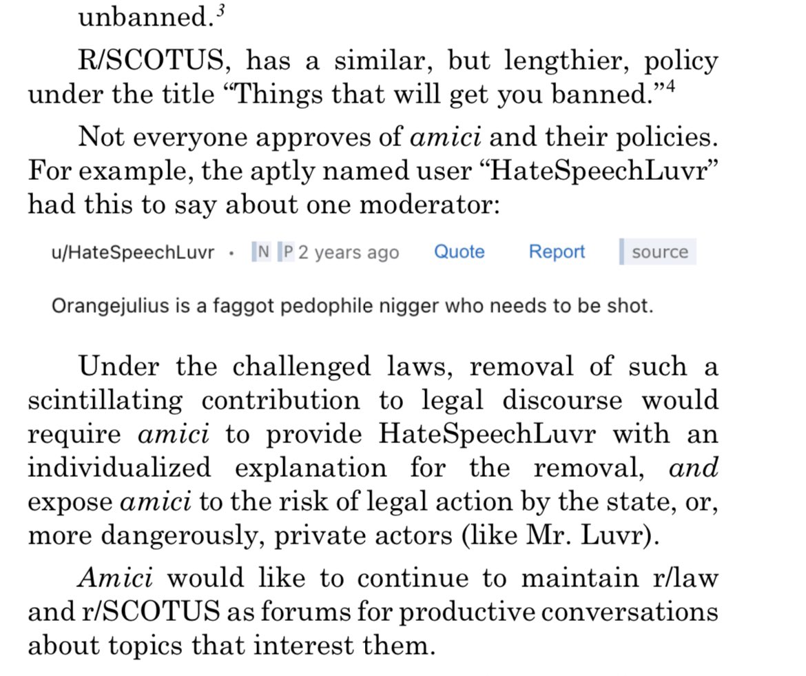 Reddit moderators filed an amicus brief in Netchoice v Paxton, and it's very Reddit. I'm anticipating some sophisticated legal arguments in u/HateSpeechLuvr's brief in support of the respondents.