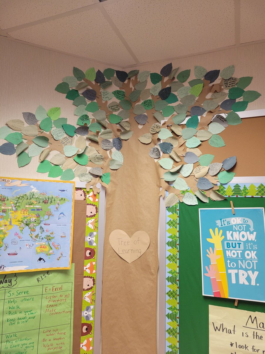 Students each got to add a leaf to my "Tree of Learning". The tree's branches are really filling up with all the students' leaves over the past couple of years 🥰