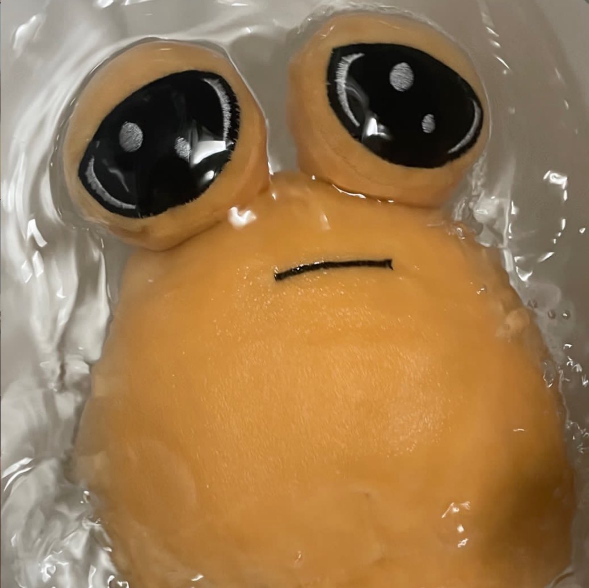 svtpou's tweet photo. underwater ... https://t.co/gxlCuCJyza