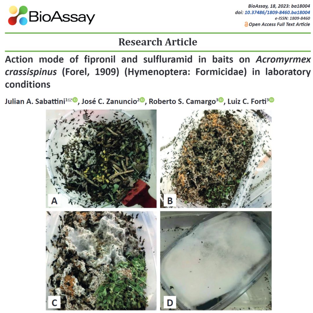 Action mode of fipronil and sulfluramid in baits on Acromyrmex crassispinus (Forel, 1909) (Hymenoptera: Formicidae) in laboratory conditions
 
doi.org/10.37486/1809-…
 
#bioassay #seb #researcharticle #hymenoptera #formicidae #fipronil #sulfluramid