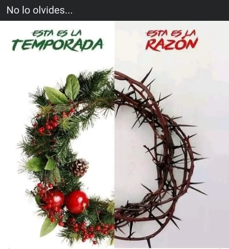 Genaro105's tweet image. 