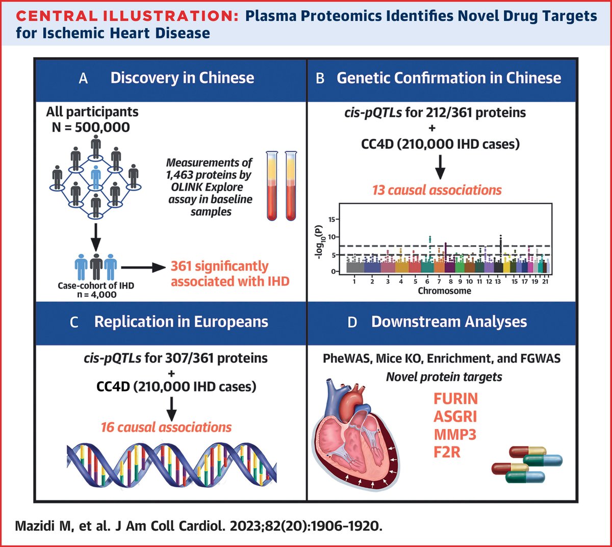 Integrated analyses of proteomic and genetic data in Chinese and European adults provided causal support for FURIN and multiple other proteins as potential novel drug targets for the treatment of #IschemicHeartDisease. bit.ly/40wImYr

#JACC #ACCIntl #CardioTwitter