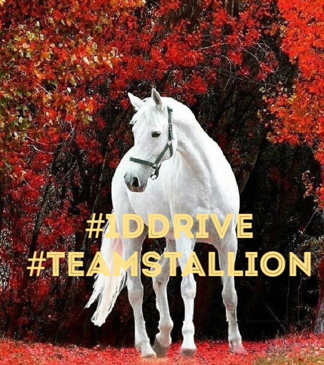 #1DDRIVE #TEAMSTALLION @HARRYS1DEMPIRE @italianostyle2 @MarEthr @moni_dollnature @R3_Adv @ginestarros @eReferenceDesk @MARTHA_CAN2 @Nathyan1997 @bluea125 @Siogo61 @monicampon @ginaaaaa24 @Meggy_Lov @MarthaCandia21 @Nature_moni @JIMENAC__ @r95731 @Spencerjames211 @lumpie125