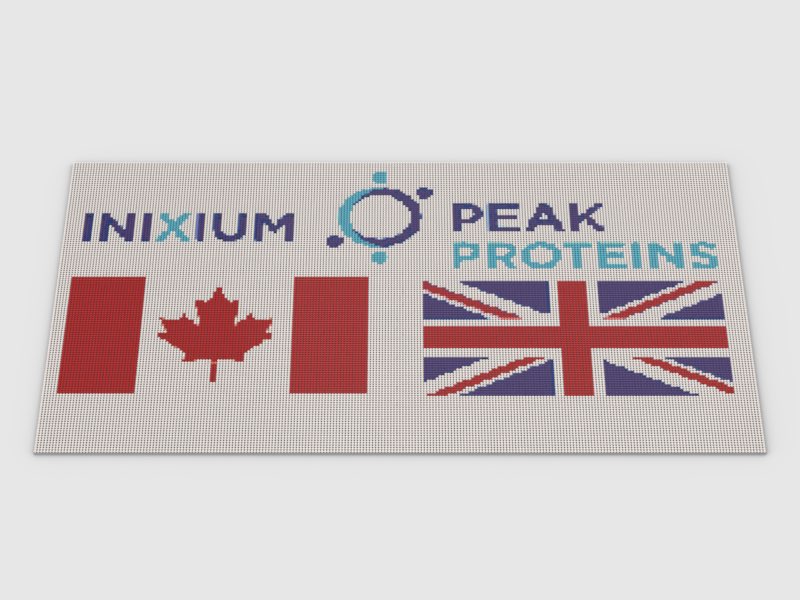 'Building' up to the Holiday Season - Day 22.

Peak Proteins and IniXium - stronger together

Following Sygnature Discovery 's acquisition of NuChem Sciences we are delighted to combine Inixium and Peak Proteins into one Protein Science and Structural Biology division.