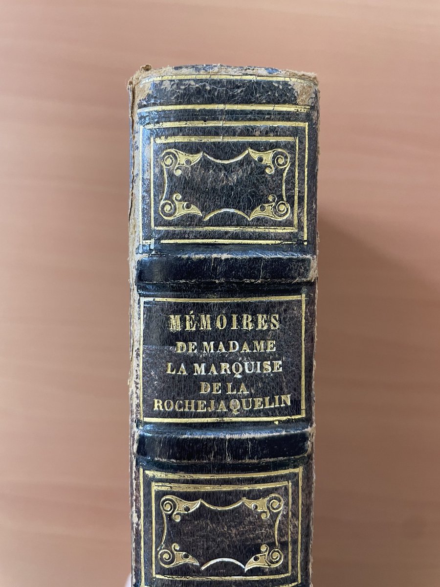 Thanks to the Patrick Nuttgens award from @YorkGeorgianSoc, I was able to travel to Vendée last week. I visited their departmental archives which hold an extensive collection relating to one of my memoirists 📚 I’m so grateful I had this opportunity 🫶