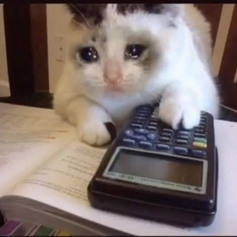 . ☁️⋅♡𓂃 ࣪ ִֶָ☾. tweet media