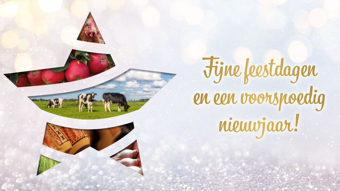 🎄 We wensen je fijne feestdagen en alle goeds voor 2024! 🥂