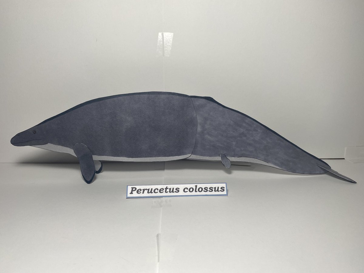 CreatorJayce's tweet photo. New papercraft, it’s also my longest so far https://t.co/DiBqBkXxxO