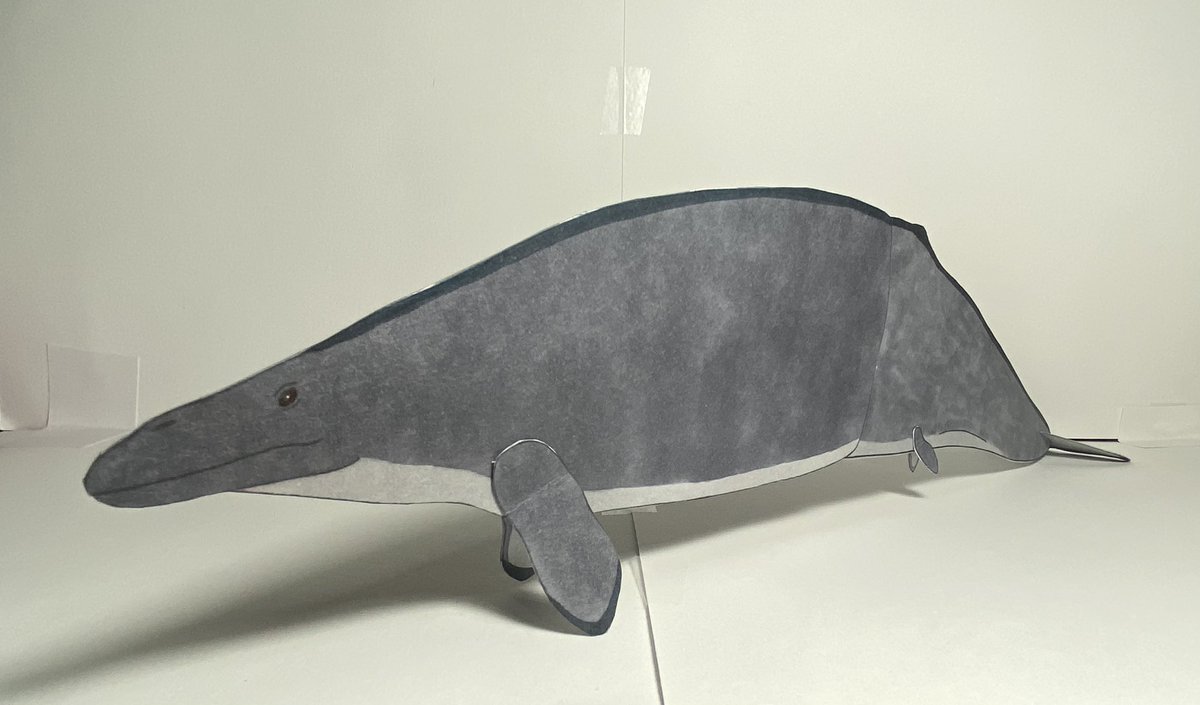 CreatorJayce's tweet photo. New papercraft, it’s also my longest so far https://t.co/DiBqBkXxxO
