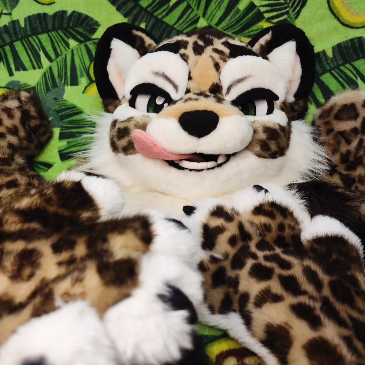 CatKrafi's tweet photo. New partial is ready ๐ฅ๐
Little leopard is looking for a home!
Head, gloves, armsleeves, tail ๐
-
-
-
#fursuit #fursuitmaker #leopardfurry #foambase #leopardfursuit https://t.co/Jr3NmXjqfg