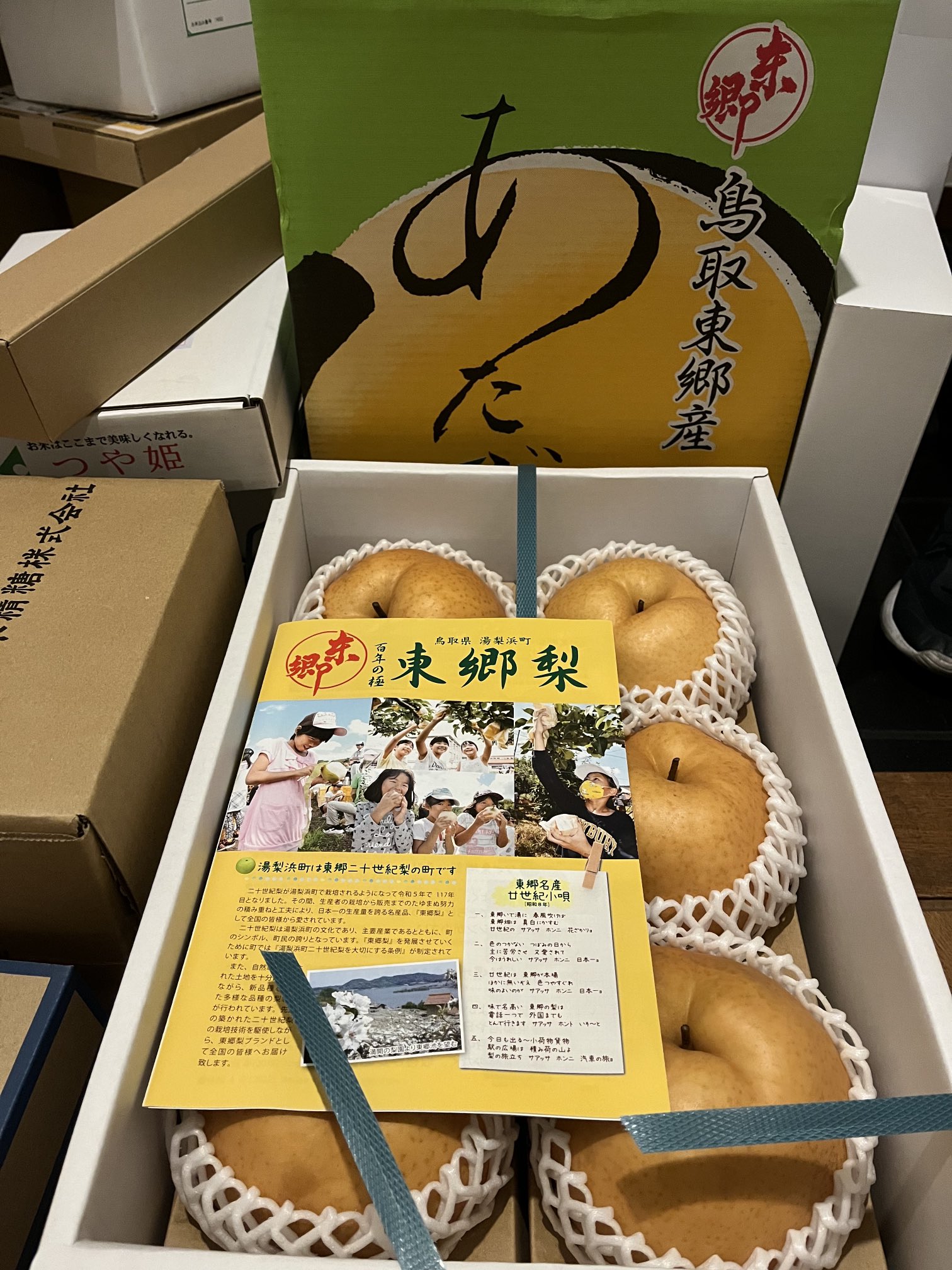 広島県海田町道祖園　 優待券 50枚 道祖園ゴルフセンター | 広島県安芸郡海田町のゴルフ練習場