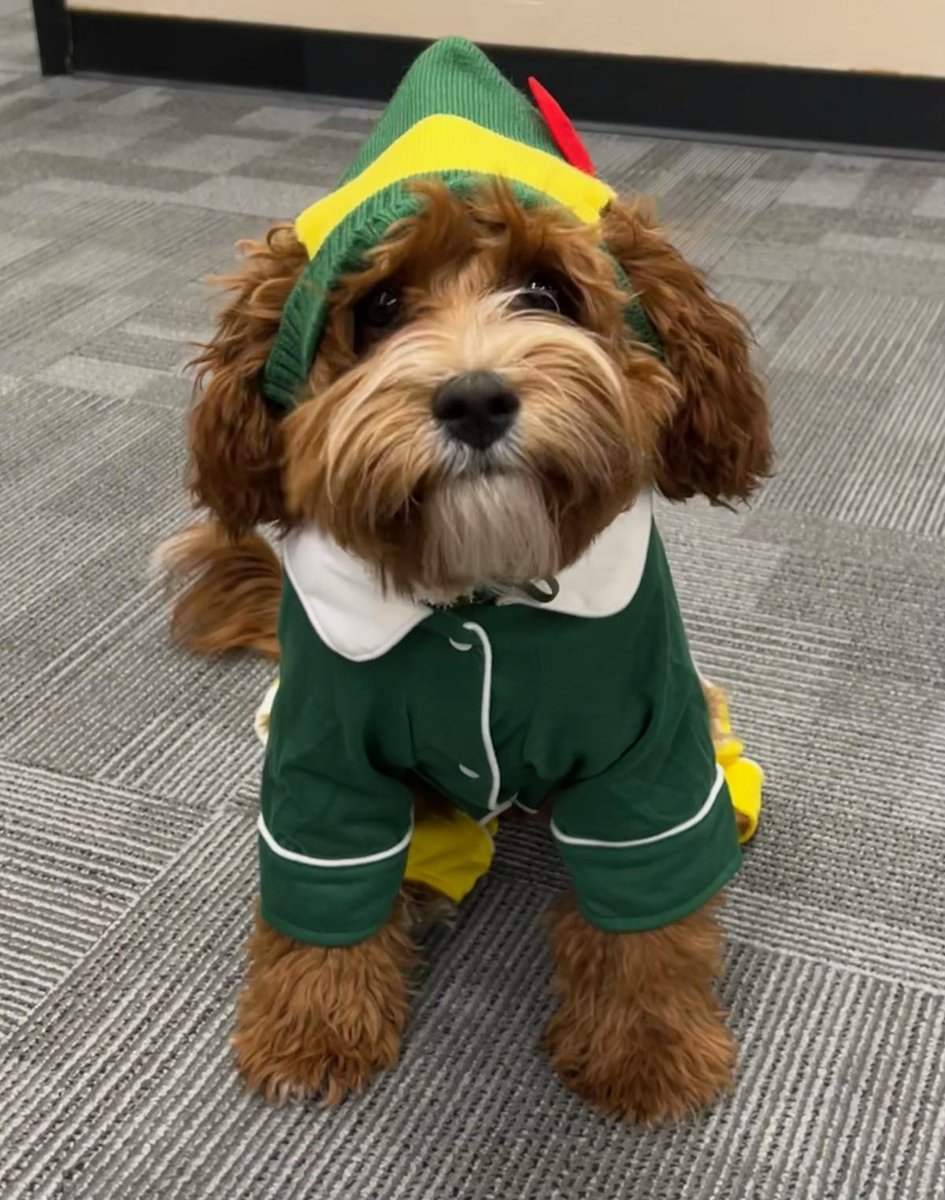 Wishing everyone a merry and safe Holiday Weekend!  #pawsecutingattorney #victimadvocatedog #jeffcom