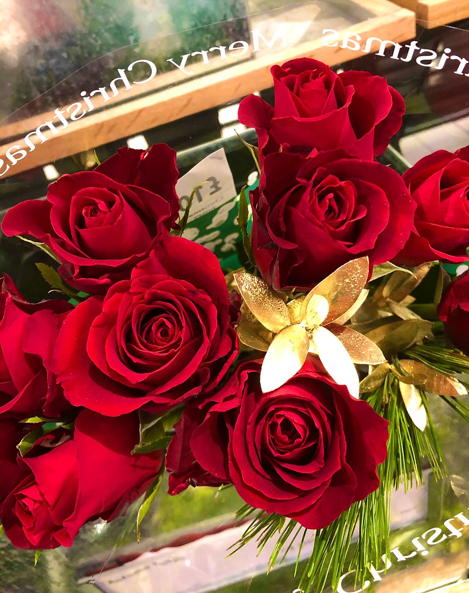 Some Christmas Red Roses for #FlowersOnFriday . . .🌹 📸 Me