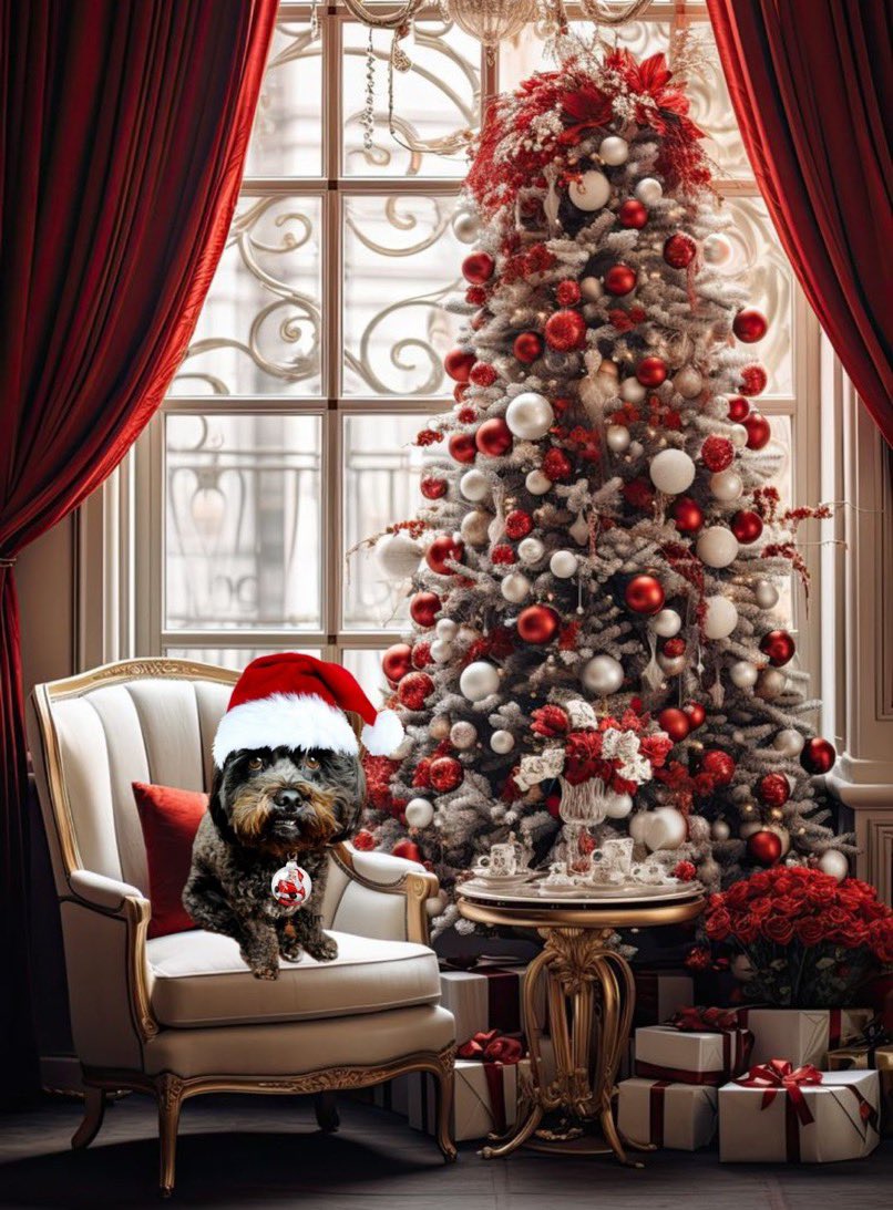 It’s my countdown to Santy Paws coming. Are you ready frens? 3 more sleeps. #Christmas2023 #DogsofTwiter
