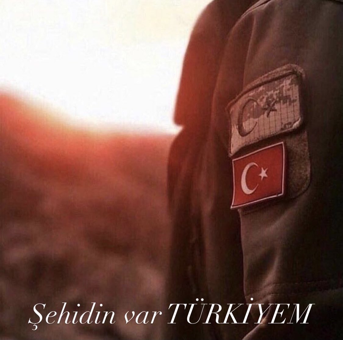 tuncaydalgıç (@tuncay_dlgc) on Twitter photo 