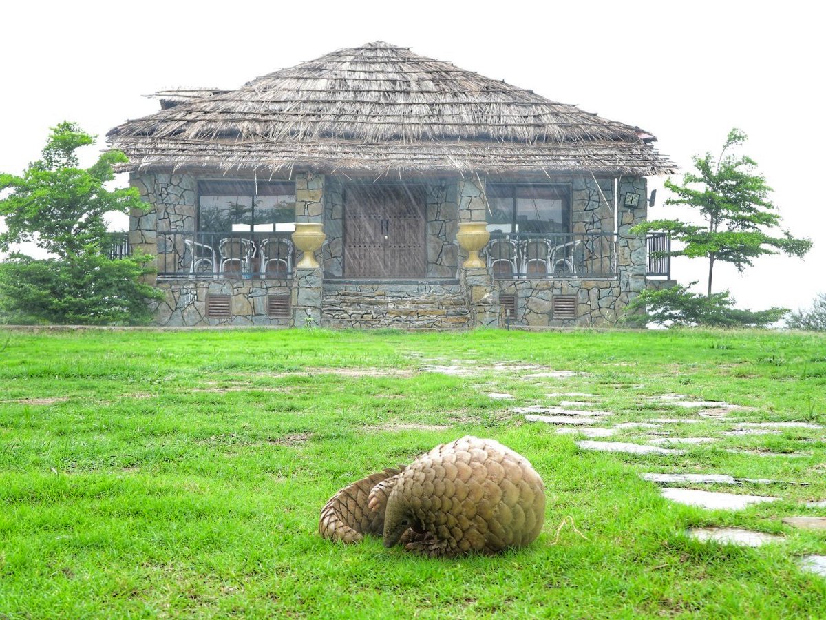 Padhri Wildlife Reserve tweet media