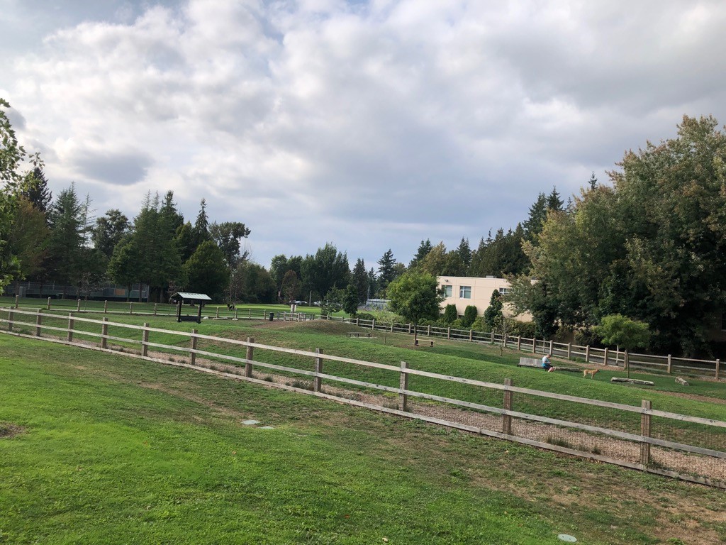 Friday Friends at the Dog Park!
City Park has a completely fenced-in, off-leash dog park located just off 207th Street and 48th Avenue in Langley.  
#DogPark #OffLeash #DogLovers #PetFriendly #DoggyPlaytime #dog #petfoodnmore