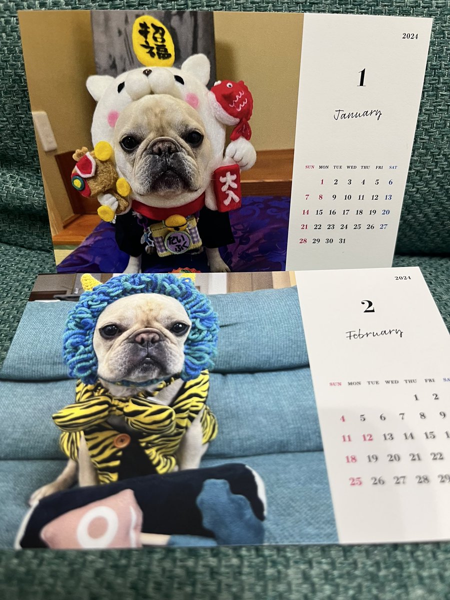 DaifukuNara's tweet image. 2024年用大福カレンダー作りました😆💓親バカで〜す💓💓💓💓💓

#Frenc #Frenchbull 
#frenchbulldog 
#Frenchbulldoglover 
#フレンチブルドッグ
#大福　#奈良
#大福フレブル奈良
#2024カレンダー
@tolot_com