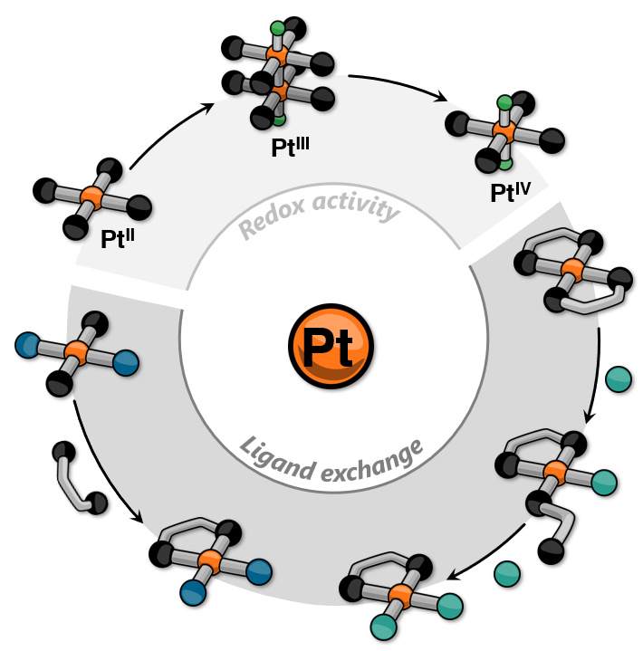 Miguel A. Soto (@miguel_a_soto_) on Twitter photo 📢Our latest paper is out in <a href="/ChemicalScience/">Chemical Science</a>! In this Perspective, Mark and I write about the role that Platinum plays in modern supramolecular chemistry, especially in the form of macrocycles💍
pubs.rsc.org/en/content/art… 📢Our latest paper is out in <a href="/ChemicalScience/">Chemical Science</a>! In this Perspective, Mark and I write about the role that Platinum plays in modern supramolecular chemistry, especially in the form of macrocycles💍
pubs.rsc.org/en/content/art…