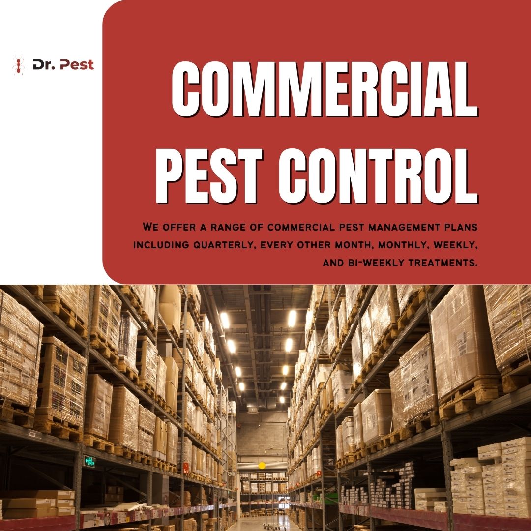 itsdoctorpest's tweet image. Protect your business reputation and keep pests out of sight! Our commercial pest control solutions are tailored to safeguard your workspace, ensuring a clean, professional environment. 🏢🚫 

#DrPest #CommercialPestControl #BusinessPestControl