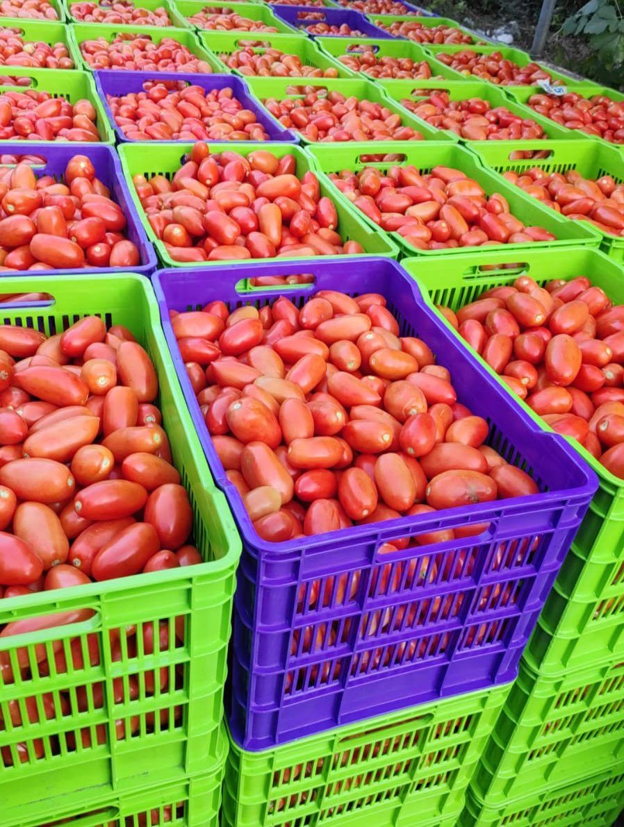 Óscar Domínguez tweet media